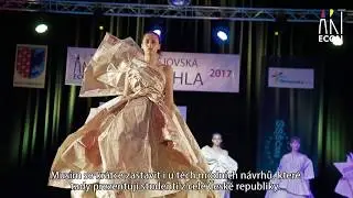 Zlatá jehla 2017 - Hosté I