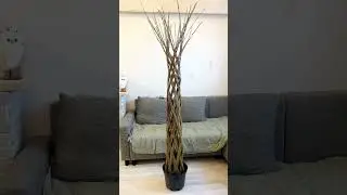 Сибирские пальмы из ивы.
