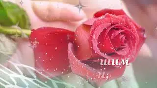 🌹Доброе Утро💝НОВИНКА!!! ДОБРОЕ УТРО Всем хорошего дня и отличного настроения 👋🤗😘😛\