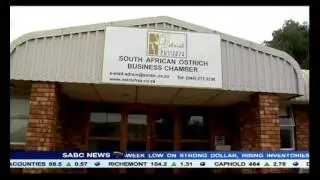 Two cases of H5N2 bird flu have been discovered