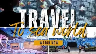 Exploring the aquarium paradise 