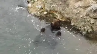 Где-то на белом свете