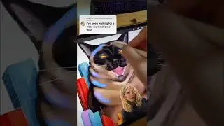 Procreate Blending modes 101 