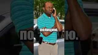 Как американцы спасали животных из машин (это разрешено до сих пор) 🇺🇸
