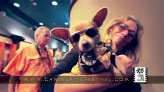 Canine Film Festival 2018 Trailer
