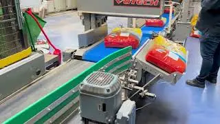 Spiral Conveyor for bag handling pet food