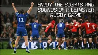 The sights and sounds of a Leinster Rugby game