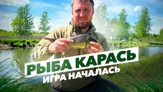 Рыбалка на карася. Отдых с рыбалкой