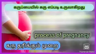 How pregnancy happens in tamil |Process of pregnancy in tamil |