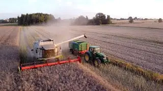 ☀️Słoneczne żniwa!☀️🇵🇱GR Zarajczyk 2023