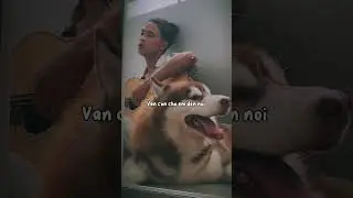 Ngày em đẹp nhất (cover)