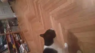 Неудачный дубль!