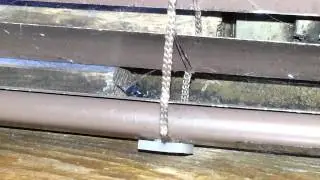 GIANT FLY vs SPIDER WHO WINS?