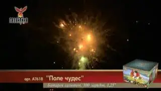 Поле Чудес (1,25"х100)1/1/1 А7618