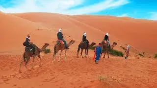 ROLÊ DE DROMEDÁRIO | MARROCOS #3