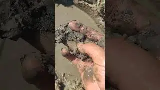Попытка пробурить абисинскую скважину.