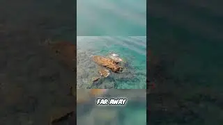 5X Zoom vs  iPhone  Why Clean Android Rocks!