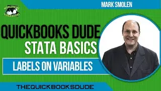 How To Put Labels On Variable Values In Stata