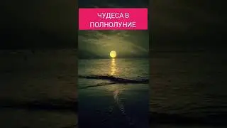 Полнолуние. Магия луны. Магия и луна.