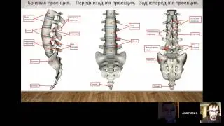 Вебинар 