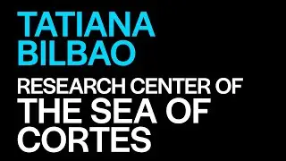 Tatiana Bilbao Presents Sea of Cortes  | The World Around Summit 2023