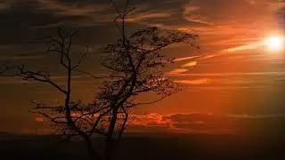 Música para dormir, naturaleza , anti stress/ Music to sleep, nature, anti stress
