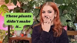 Houseplants that didn’t make it ☠️🪦 2024