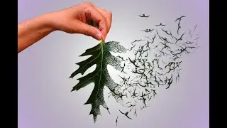 Tutorial Photoshop efecto DISPERSION, DESINTEGRACION