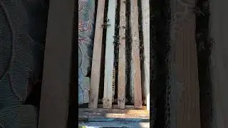 обсиживание пчёл 4 января 2023 г