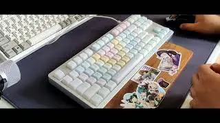 LZ-GH | Kailh Speed Navy | Typing ASMR