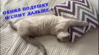 Обнял подушку и спит дальше.