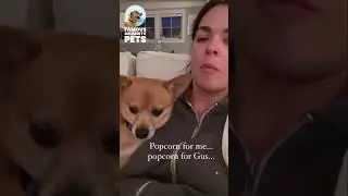 Katie Lee Biegel and Her Dog Eating Popcorn 🍿🐶 