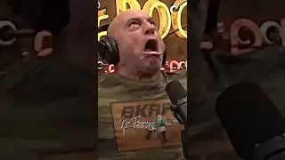 🤣 Why UFC Fans Are Weird?! | Joe Rogan Experience Podcast, ft. Bas Rutten 