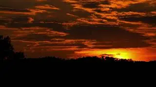 The beauty of nature