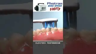 Electric Toothbrush cleaning teeth at 5000 frames per second