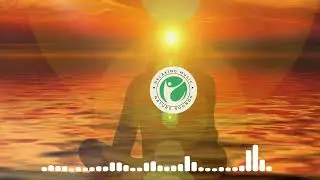 The Best Way to Relax with Nature - Healing Sounds