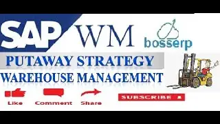 #6 PUTAWAY STRATEGY IN SAP WM (LEARN & EDUCATE)