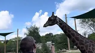 Overcoming Fear: Facing a Giraffe Up Close
