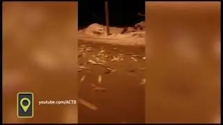 Долинск. Тонна свежей рыбы - прямо на дороге