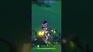 When your Pet save Your life 