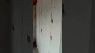 16 августа 2024 г.