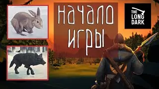 How to catch a hare in 🪓THE LONG DARK🪓 / How to pass a wolf, butchering carcasses