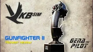 Honest review of VKB Gunfighter II MCG PRO joustick.