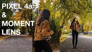Shoot Banger Budget Photos with the Pixel 4a and Moment Tele Lens