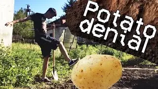 Ненавижу картошку / Картофельное безумие