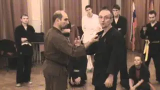 Джиу-джитсу