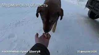1571. Мурманск-Шонгуй-Магнетиты 
