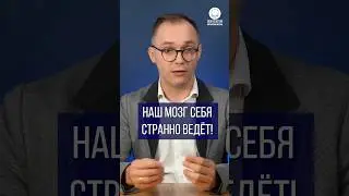 Наш мозг себя странно ведёт!