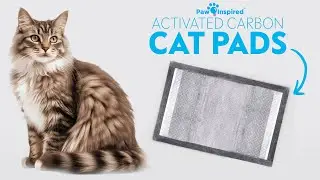Cat Litter Box System | Carbon Cat Pads #catcare #cattoilet #catlitter