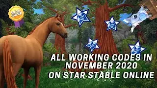 ALL REDEEM CODES NOVEMBER 2020 // STAR STABLE ONLINE // ALL WORKING CODES NOVEMBER STAR STABLE 2020